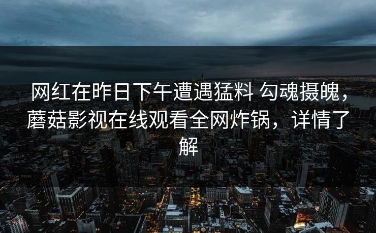网红在昨日下午遭遇猛料 勾魂摄魄，蘑菇影视在线观看全网炸锅，详情了解