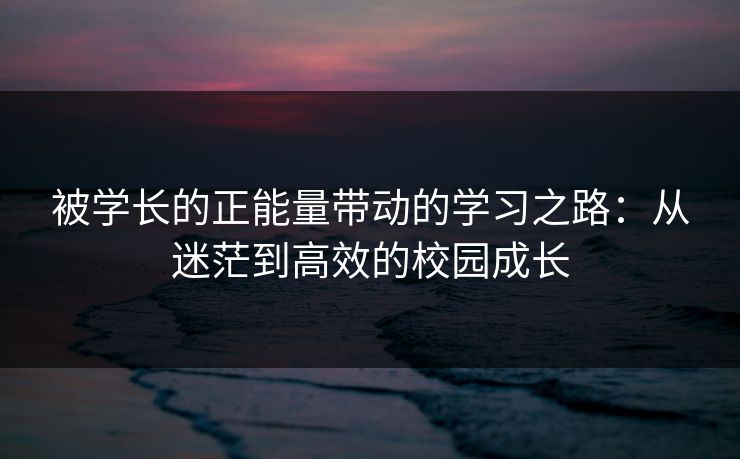 被学长的正能量带动的学习之路：从迷茫到高效的校园成长